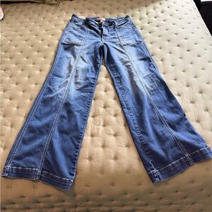 Kut from the Kloth Denim Flare Jeans